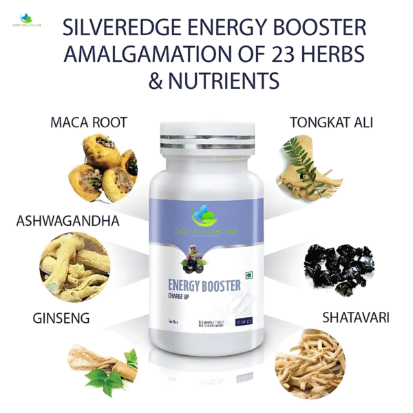 OSET ENERGY BOOSTER - Image 3